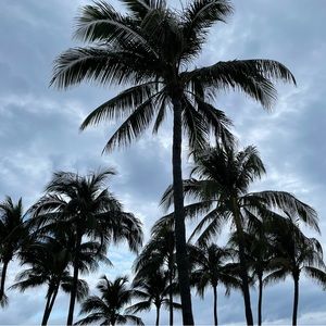 Meet your Posher, Dominick